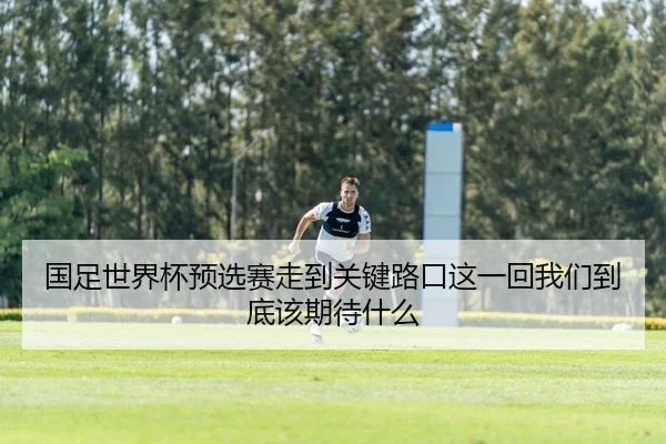 国足世界杯预选赛走到关键路口这一回我们到底该期待什么